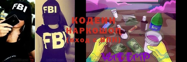 крисы Ельня