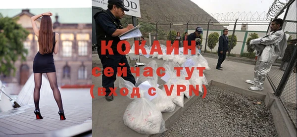 дурь Богородицк