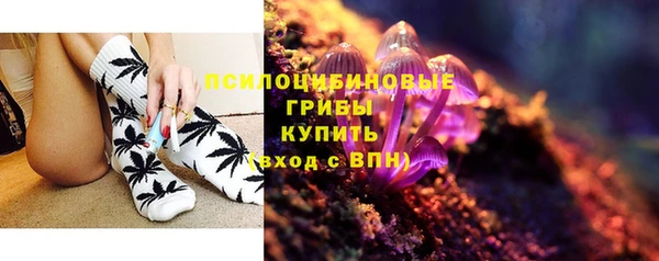 дурь Богородицк